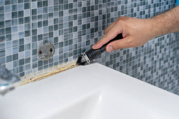 Best White Mold Remediation in Williamsport, IN
